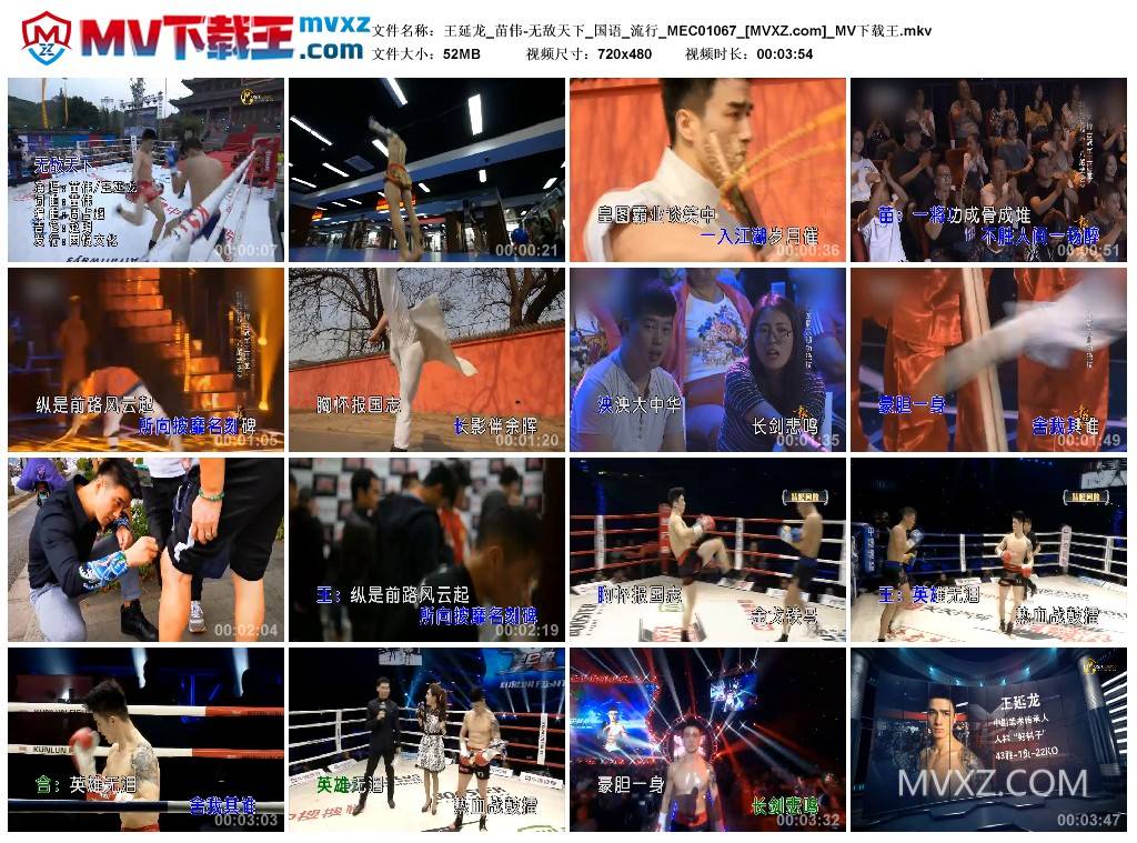 王延龙_苗伟-无敌天下_国语_流行_MEC01067